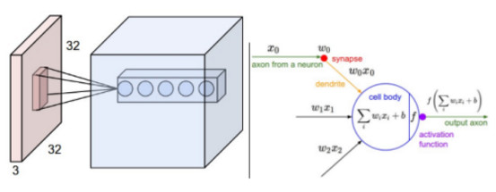 ./CNN_convolutional.jpeg