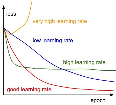 learning_rates_setting.jpg